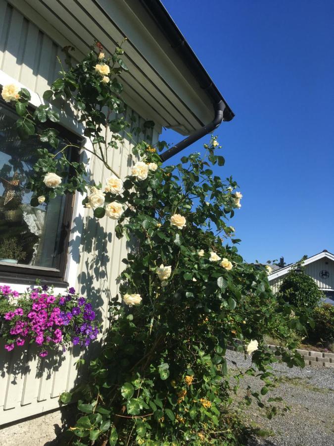 Airbnbekasberg Olofstorp Екстериор снимка