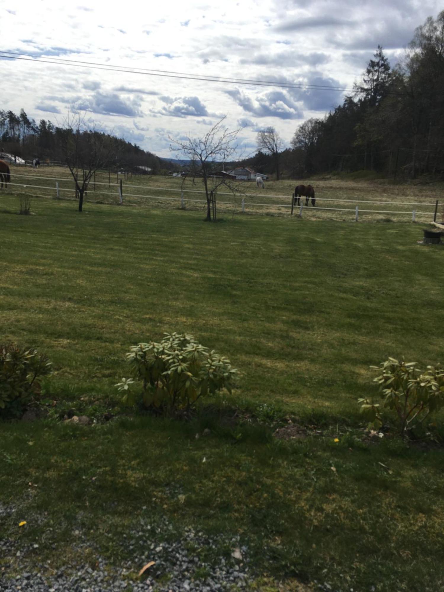 Airbnbekasberg Olofstorp Екстериор снимка