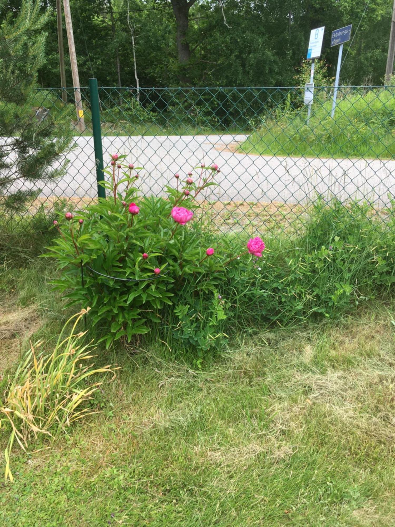 Airbnbekasberg Olofstorp Екстериор снимка