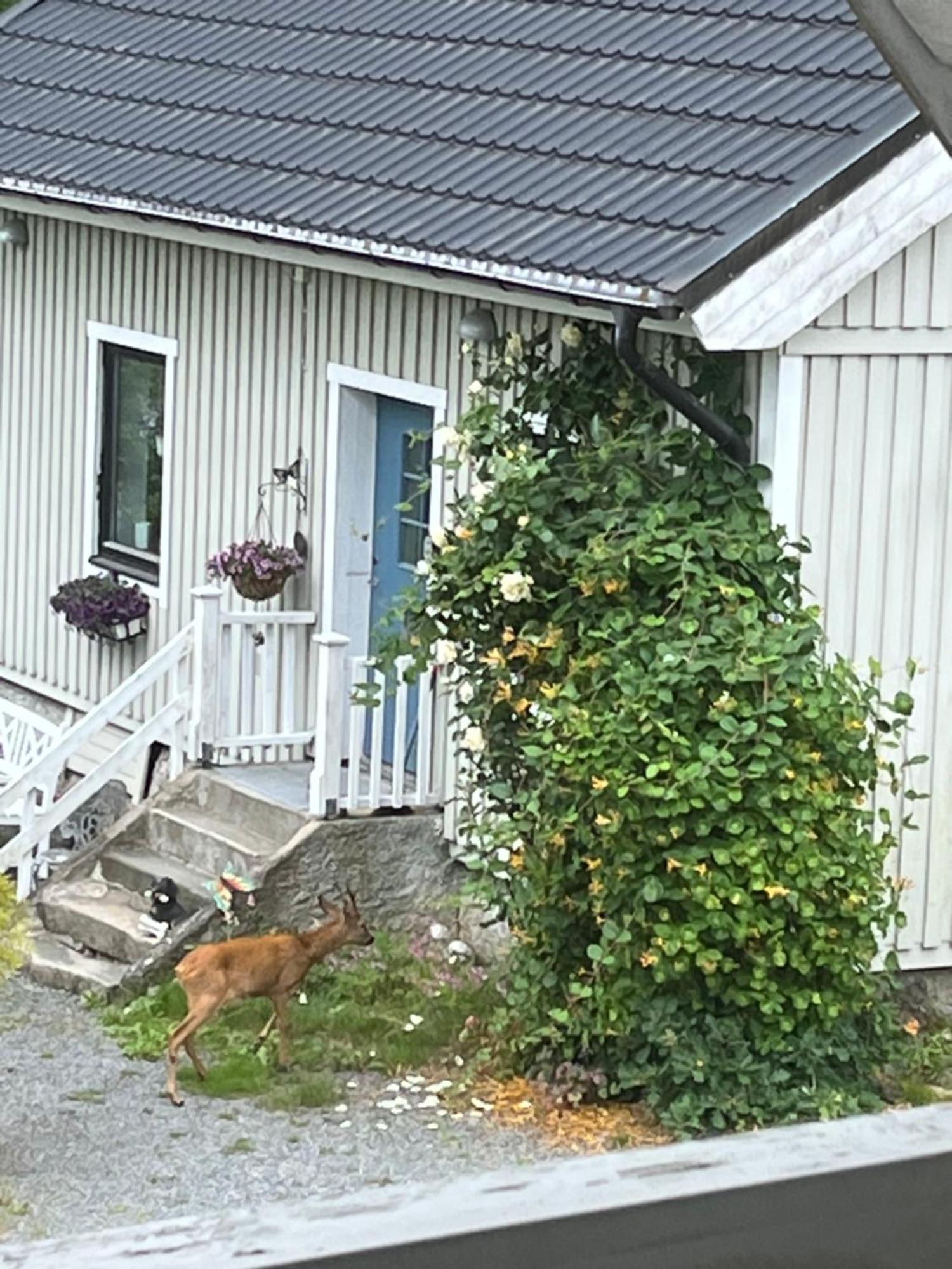 Airbnbekasberg Olofstorp Екстериор снимка